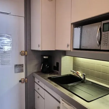 Fleche - 4 Personnes Expose Sud Mae-3384 * 拉普拉涅