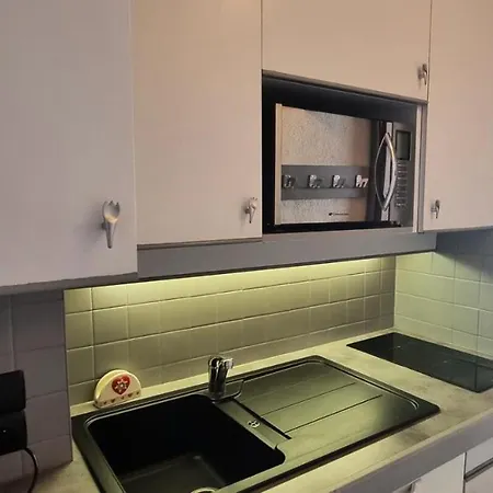 公寓 Fleche - 4 Personnes Expose Sud Mae-3384 拉普拉涅