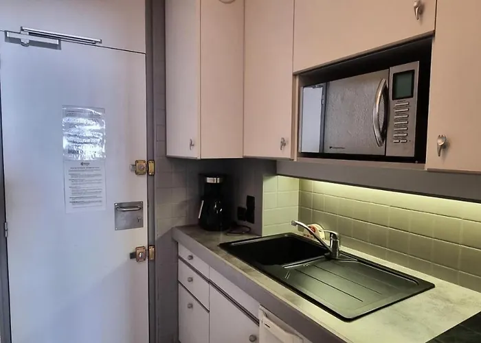 Fleche - 4 Personnes Expose Sud Mae-3384 * 拉普拉涅