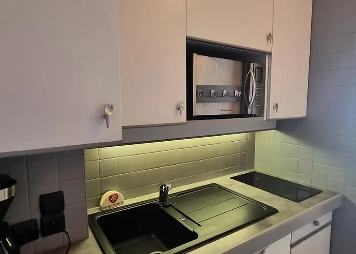 公寓 Fleche - 4 Personnes Expose Sud Mae-3384 拉普拉涅